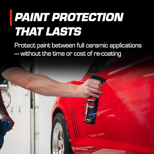High-Performance Car Care 6-Pack Wash & Detail Bundle - view 4