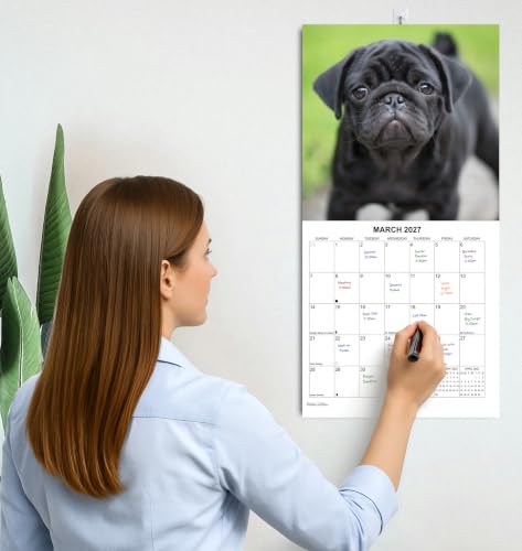 2027 Pugs Monthly Wall Calendar | Cute Dogs Calendar September 2026 - December 2027 - view 5