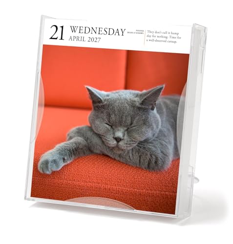 Cat Page-A-Day Gallery Calendar 2027: A Delightful Gallery of Cats for Your Desktop - view 3