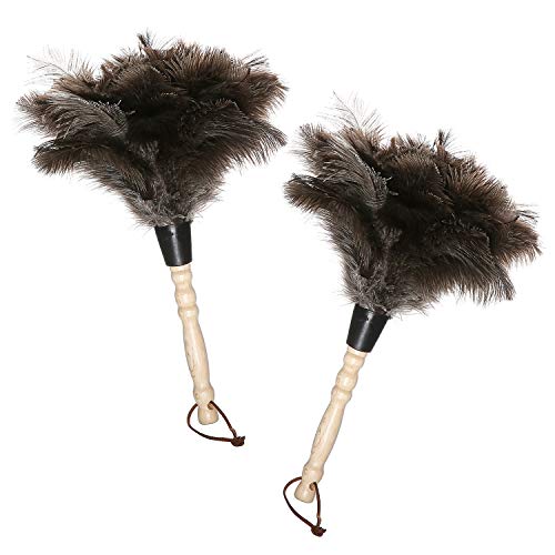 Natural Gray Ostrich Feather Duster,2 Packs,Car Duster Interior/Exterior Cleaner, Cleaning for Blinds Kitchen Keyboard Office, Smart and Soft and Fluffy (Gray)