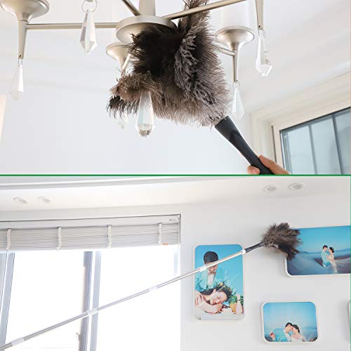 Gray Ostrich Feather Duster with 71 Inch Extendable Pole, Microfiber Duster for Home Cleaning - view 6
