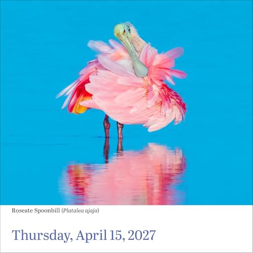 Audubon Birds Page-A-Day Calendar 2027: The World's Favorite Bird Calendar - view 4