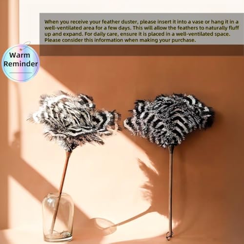 Ostrich Feather Duster with Wood Handle - Segment Dyed Reusable Feather Duster for Delicate Items, Antiques, Electronics, Home Office Decor and Cleaning (S) - view 5