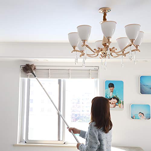 Gray Ostrich Feather Duster with 71 Inch Extendable Pole, Microfiber Duster for Home Cleaning - view 4