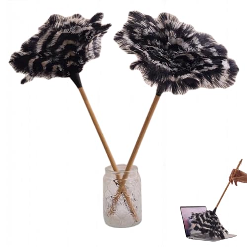 Ostrich Feather Duster with Wood Handle - Segment Dyed Reusable Feather Duster for Delicate Items, Antiques, Electronics, Home Office Decor and Cleaning (S)