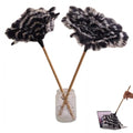 Ostrich Feather Duster with Wood Handle - Segment Dyed Reusable Feather Duster for Delicate Items, Antiques, Electronics, Home Office Decor and Cleaning (S)