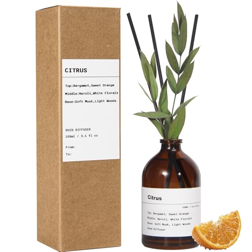 Reed Diffuser Set, Citrus Scent, 3.4 fl oz, Oil Diffusers with Sticks