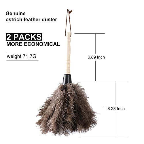 Natural Gray Ostrich Feather Duster,2 Packs,Car Duster Interior/Exterior Cleaner, Cleaning for Blinds Kitchen Keyboard Office, Smart and Soft and Fluffy (Gray) - view 2