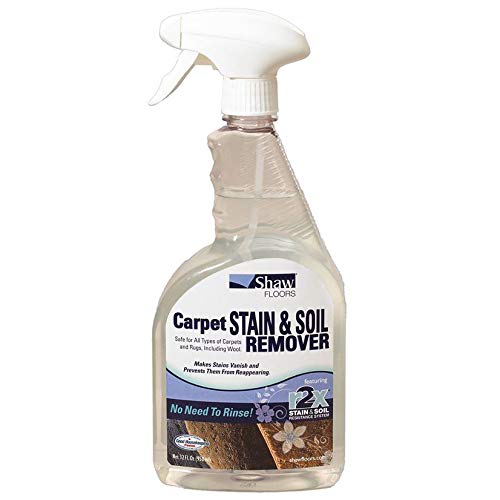 R2X Carpet Stain & Soil Remover 32 Ounces Spray