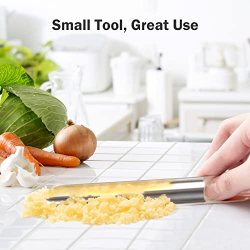 Restaurant Crumb Sweepers, Restaurant Crumb Cleaner, High Quality Stainless Steel Crumb Scraper, Crumber Tool for Waiters, Waitresses and Servers (1 PACK, Silver) - view 6