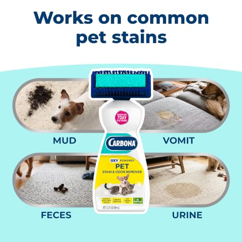 2-in-1 Oxy-Powered Pet Stain & Odor Remover, 13.5 Fl Oz - view 3
