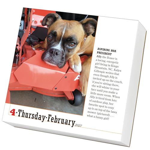 365 Dogs Page-A-Day Calendar 2027: The World's Favorite Dog Calendar - view 3