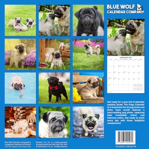 2027 Pugs Monthly Wall Calendar | Cute Dogs Calendar September 2026 - December 2027 - view 2
