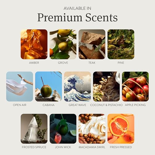 Car Air Freshener - Stone Air Freshener Car Odor Eliminator - Long Lasting Scent - Auto Accessories - Metal Clip - Essential Oils - Clean Ingredients - Teak Scent Starter Kit - view 4