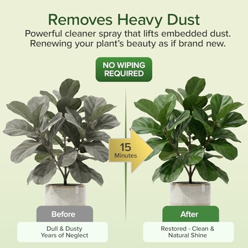 Jaxry Silk Plant Cleaner Spray No Wipe, Artificial Plants & Flowers, 32 oz - view 3