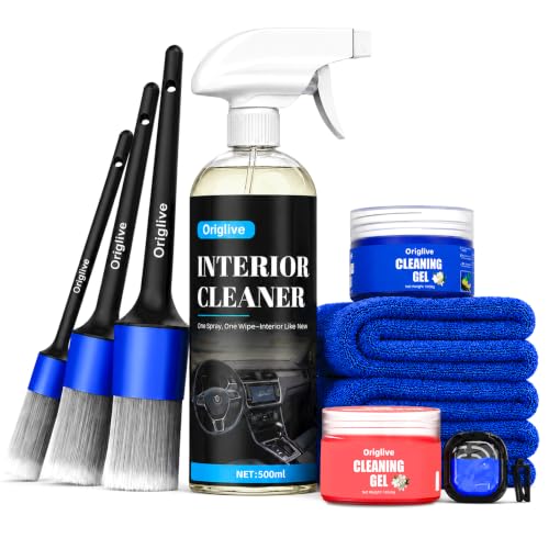 10-Piece Car Detailing Kit, No-Rinse Interior cleaner, 16.9 oz