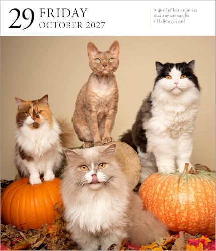Cat Page-A-Day Gallery Calendar 2027: A Delightful Gallery of Cats for Your Desktop - view 5