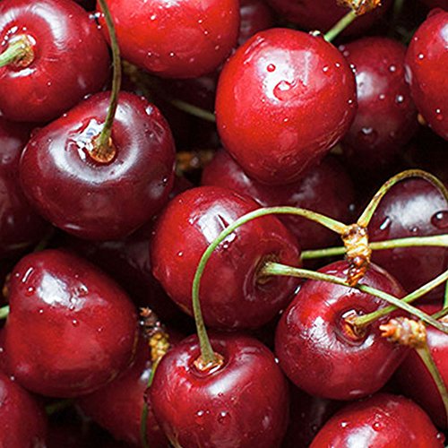 Fresh Cherry Blast Air Freshener & Odor Neutralizer, 4 oz - view 4