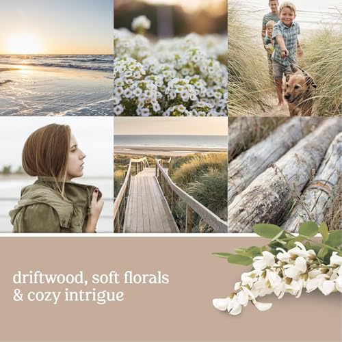 Concentrated Room Spray Air Freshener, Instant Home Fragrance, Odor Eliminating Spray, Strong Scent, Room Freshener for Home and Bathroom, Seaside Woods (Pack of 1) - view 2