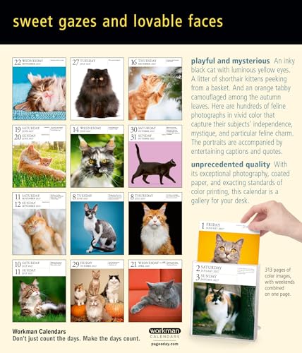 Cat Page-A-Day Gallery Calendar 2027: A Delightful Gallery of Cats for Your Desktop - view 2
