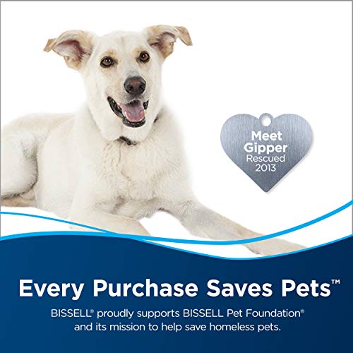 DeepClean + Refresh with Febreze Freshness Spring & Renewal Formula, 1052A, 60 Ounces - view 3