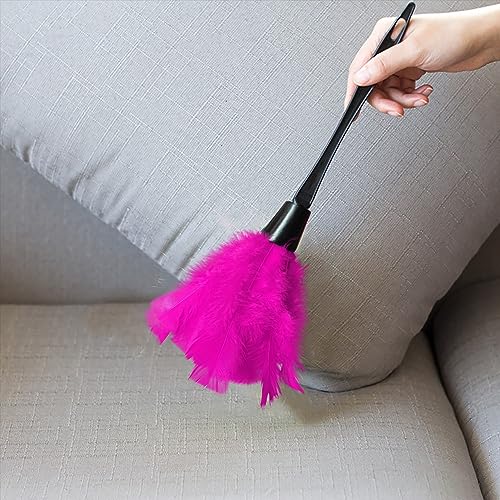Turkey Feather Dusters for Cleaning Home Blinds Kitchen car Office, Eco-Friendly Reusable （2 pcs Rose red） - view 3