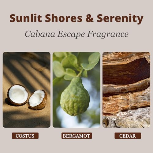 Car Air Freshener - Wood Air Freshener - Car Odor Eliminator for Visor Clip- Natural Scent Starter Kit, Vehicle Scent Diffuser for Cabin, Truck & SUV (Cabana) - view 3