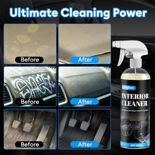 10-Piece Car Detailing Kit, No-Rinse Interior cleaner, 16.9 oz - view 4