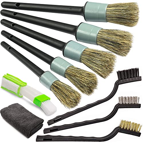 Car Detailing Brush Kit, 10 Piece Boar Hair for Interior