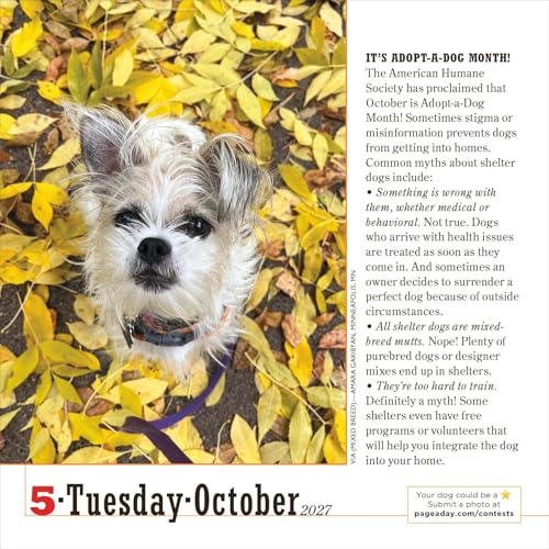 365 Dogs Page-A-Day Calendar 2027: The World's Favorite Dog Calendar - view 5