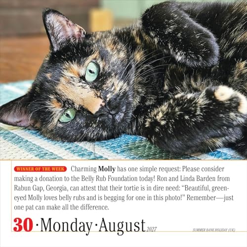 365 Cats Page-A-Day Calendar 2027: The World's Favorite Cat Calendar - view 4