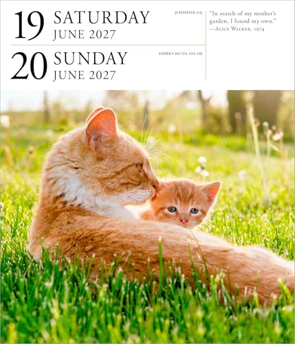 Cat Page-A-Day Gallery Calendar 2027: A Delightful Gallery of Cats for Your Desktop - view 4