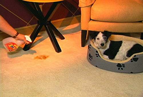 OVERSTOCK ITEM! Quick 10 (Carpet, Clothing, Upholstery & Pet Stain Remover) Includes 2, 32 oz. bottles and 4 powder packets!! Get 2 kits for the price of 1.5! - view 2