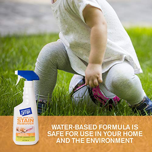 Lift Off Food, Drink, & Pet Stain Remover, 22 fl oz, 40501 - view 6