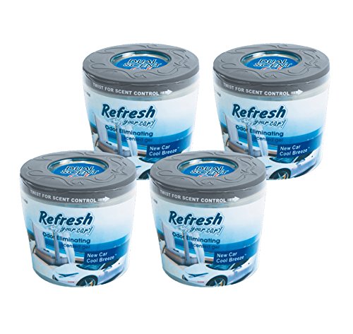 ! 84101 New Car and Cool Breeze Scented Gel Can, 5 oz, 4 Pack