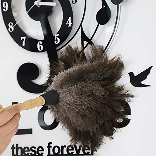 Natural Gray Ostrich Feather Duster,2 Packs,Car Duster Interior/Exterior Cleaner, Cleaning for Blinds Kitchen Keyboard Office, Smart and Soft and Fluffy (Gray) - view 5