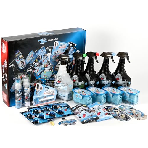 Car Cleaning Kit - Car Accessories for Interior and Exterior Cleaning, Glass Cleaner, Car Wipes, Auto Essentials