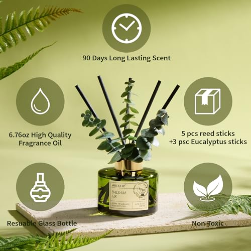 Reed Diffuser Set with 6.76 fl oz Balsam Fir Scent Essential Oils and 3 Leaves & 8 Diffuser Sticks,Bathroom Shelf Decor & Air Freshener, House Bedroom Office Decor & Gifts - view 2
