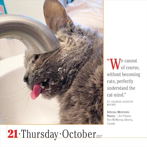 365 Cats Page-A-Day Calendar 2027: The World's Favorite Cat Calendar - view 5