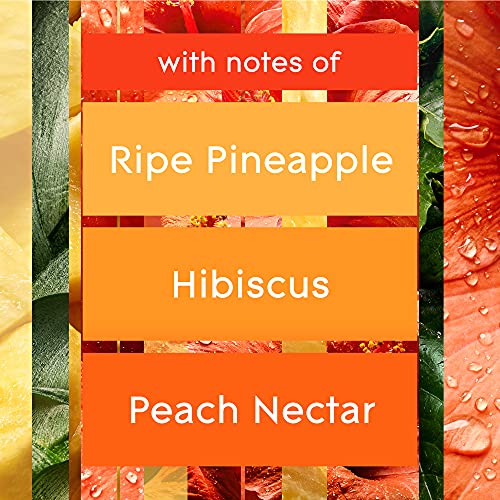 PlugIns Refills Air Freshener, Scented and Essential Oils for Home and Bathroom, Hawaiian Breeze, 2.01 Fl Oz, 3 Count - view 5