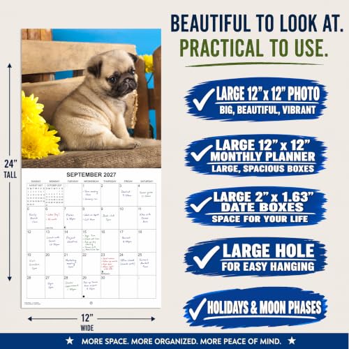 2027 Pugs Monthly Wall Calendar | Cute Dogs Calendar September 2026 - December 2027 - view 3