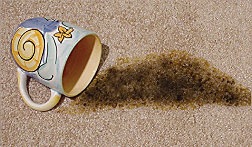 OVERSTOCK ITEM! Quick 10 (Carpet, Clothing, Upholstery & Pet Stain Remover) Includes 2, 32 oz. bottles and 4 powder packets!! Get 2 kits for the price of 1.5! - view 5