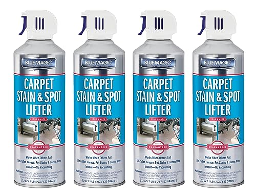Carpet Stain & Spot Lifter - 22 oz. Aerosol Can (Pack of 4)