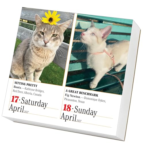 365 Cats Page-A-Day Calendar 2027: The World's Favorite Cat Calendar - view 3