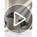 Ostrich Feather Duster with Wood Handle - Segment Dyed Reusable Feather Duster for Delicate Items, Antiques, Electronics, Home Office Decor and Cleaning (S) - view 7
