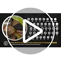 32717 Precision Screwdriver Set with Case, All-in-One Multi-Function Repair Tool Set, 39 Bits Including Tamperproof Bits for Apple Products - view 7