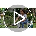 2-in-1 Heavy Duty Foldable Garden Kneeler And Stool With EVA Pad, Green - view 7